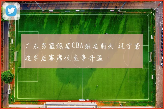 广东男篮稳居CBA排名前列 辽宁紧追季后赛席位竞争升温