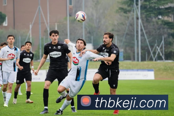 九游j9官网首页登录平台生态图